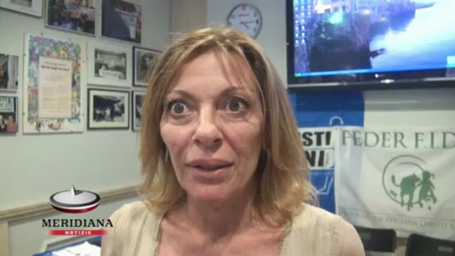 Da Animalisti Italiani e Feder F.I.D.A. parte la querela contro Ignazio Marino. Caporale: “Un solerte vivisettore”