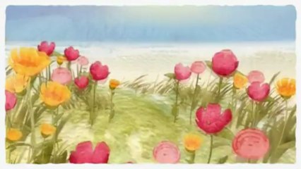 Wisest Home Replacement Windows