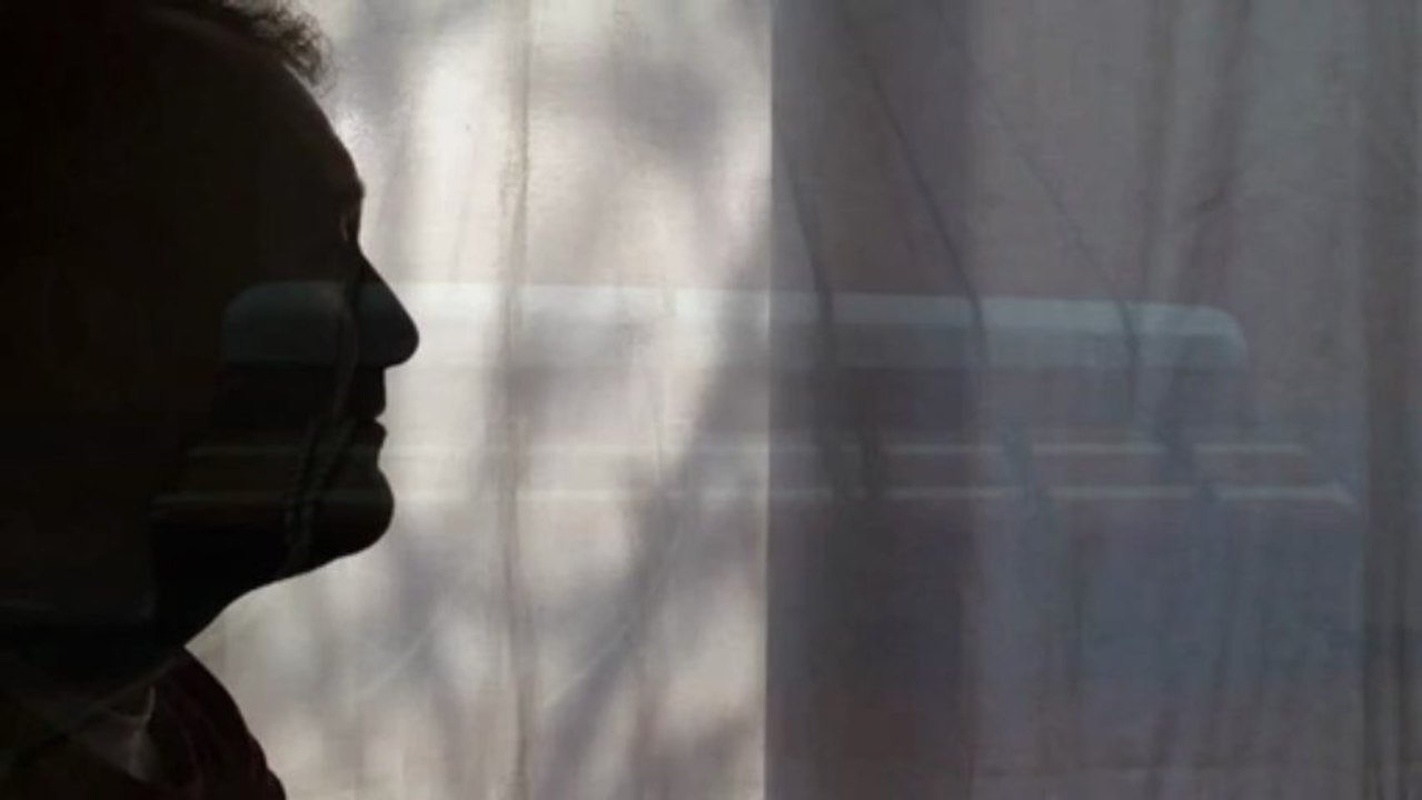han- dut ağacı