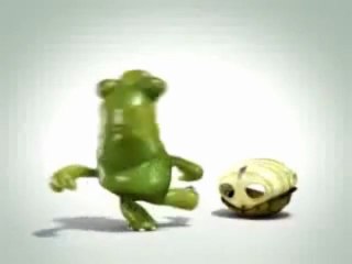 Crazy Dancing Turtle Loses Everything