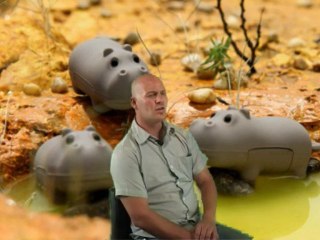 Who Are The Main Distributors in South Africa?