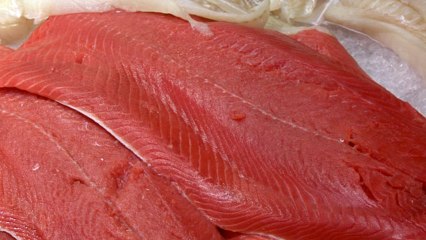 5 High Protein Foods