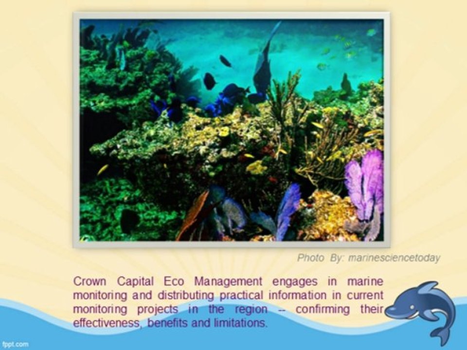 Jakarta Capital Environmental Blog:  Crown Eco Management - Marine