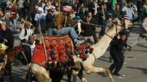 Egypt court refuses 'Camel Battle' appeal