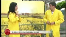 TV3 - Divendres - La dieta dels colors 07/05/13 (Part 2)