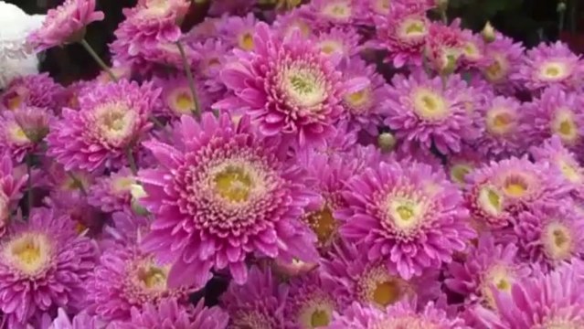 Full Speech of Imran Khan 7 May 2013 from Shaukat Khanum Memorial Cancer Hospital & Research Centre Lahore. Pakistan