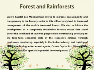 Jakarta Capital Environmental Blog : Crown Eco Management  | Forest and Rainforests