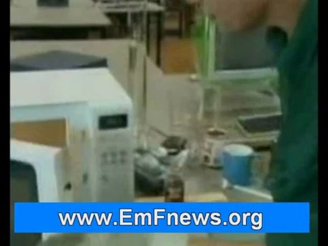 Electromagnetic Radiation, Radiation Protection Products