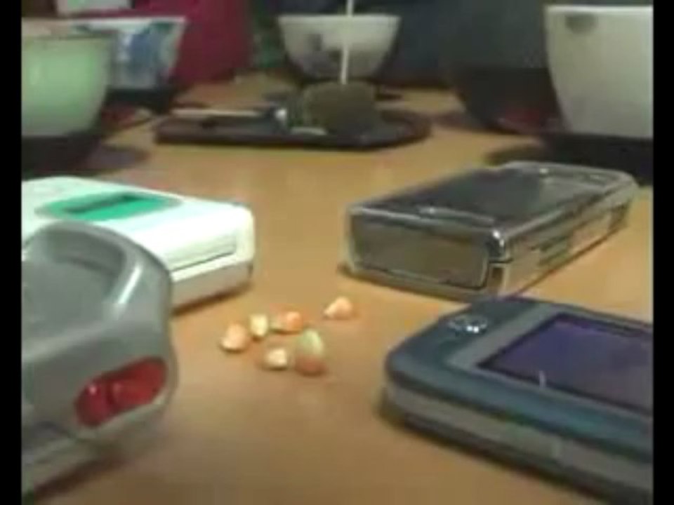 Risks Of Cell Phones, Cell Phone Radiation Protection Products