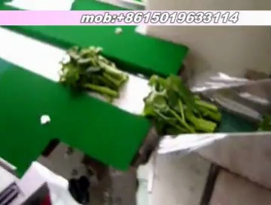 Fresh vegetable packaging machine