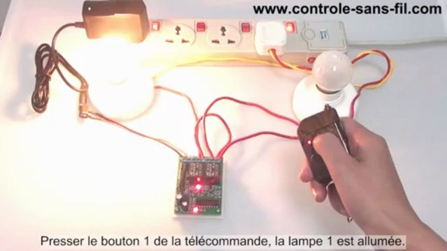Commande Sans Fil - Kit Émetteur Récepteur Radio 9V 12V 24V 2 Canaux - Mode de Contrôle Triggering