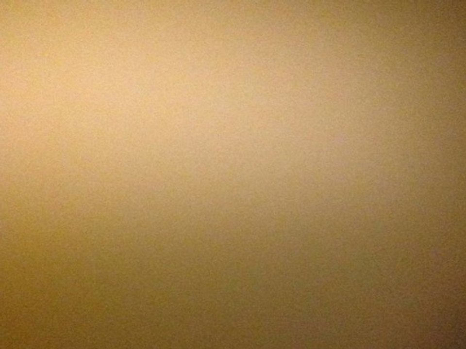 The idea of a painting - Art video project by Soraya Sikander