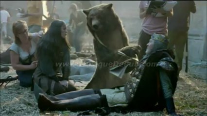 pub Canal+ & Canal+ Cinéma 'l'ours' 2013 [HQ]