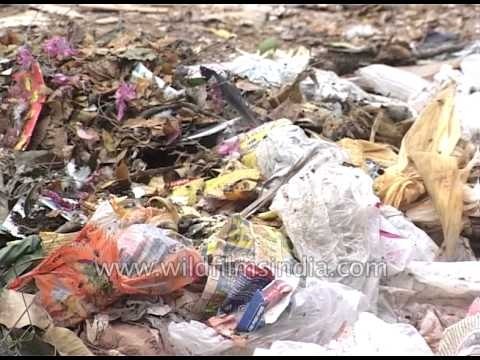 Delhi's overflowing garbage problem