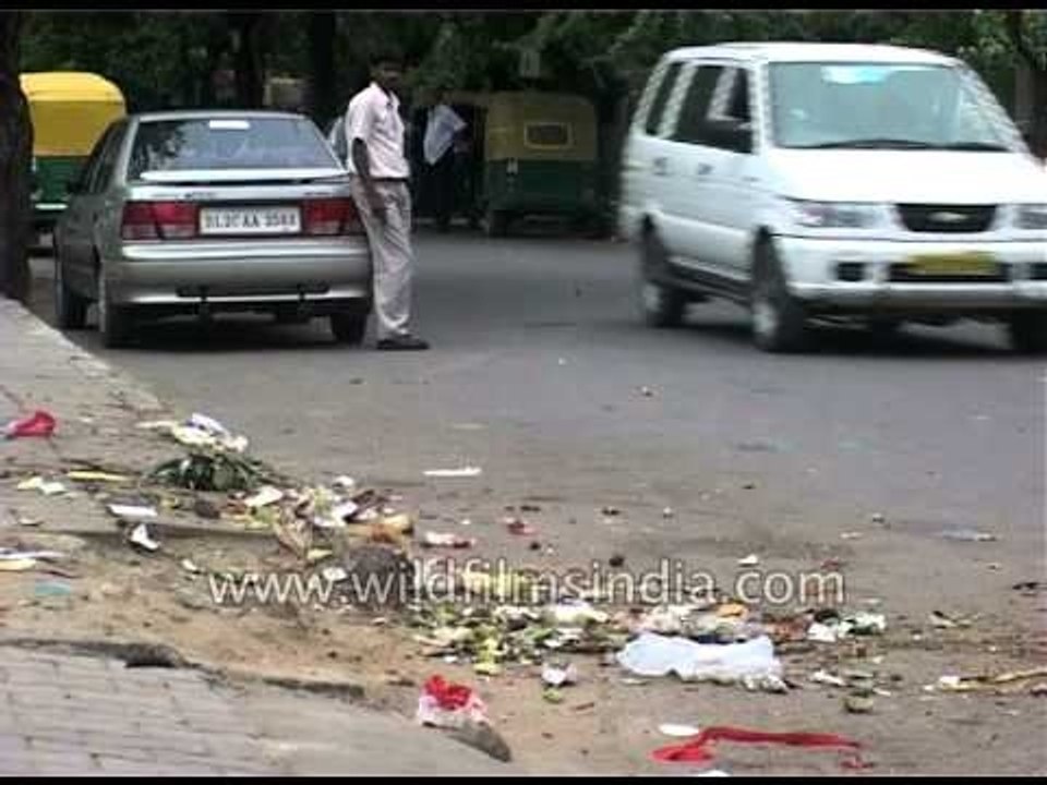Trash-less Delhi roads
