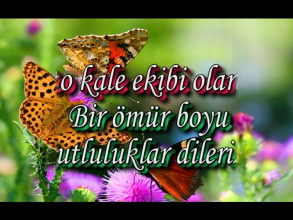 Foto KALE