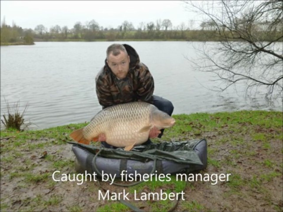 55lb Common Carp caught at French Lake Villefond