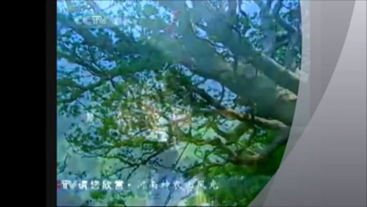 Chine