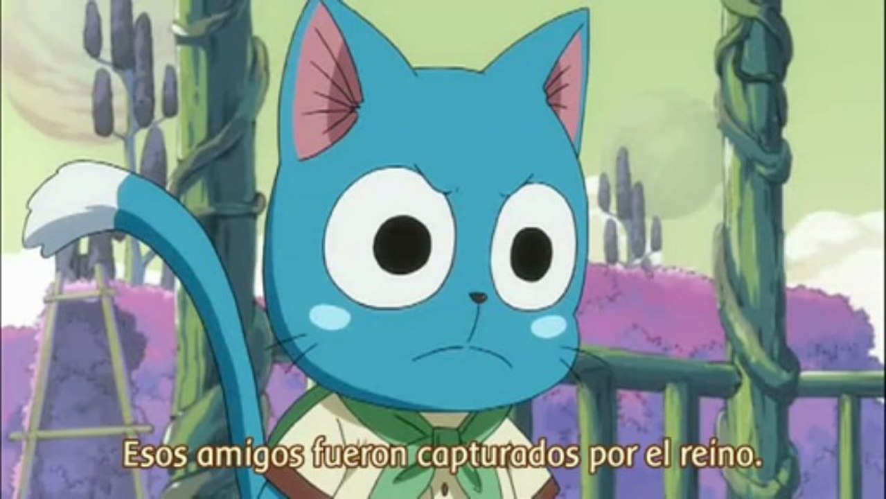 FT cap 84 sub esp