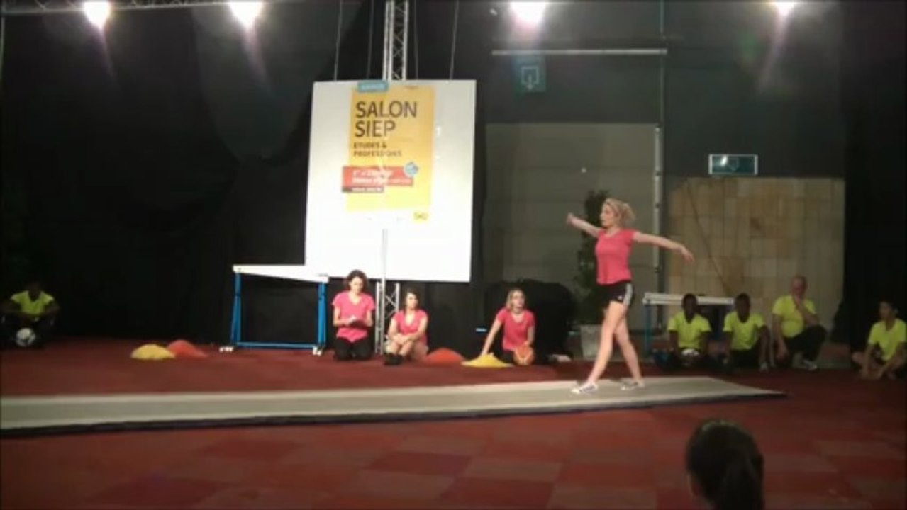 siep2013_29