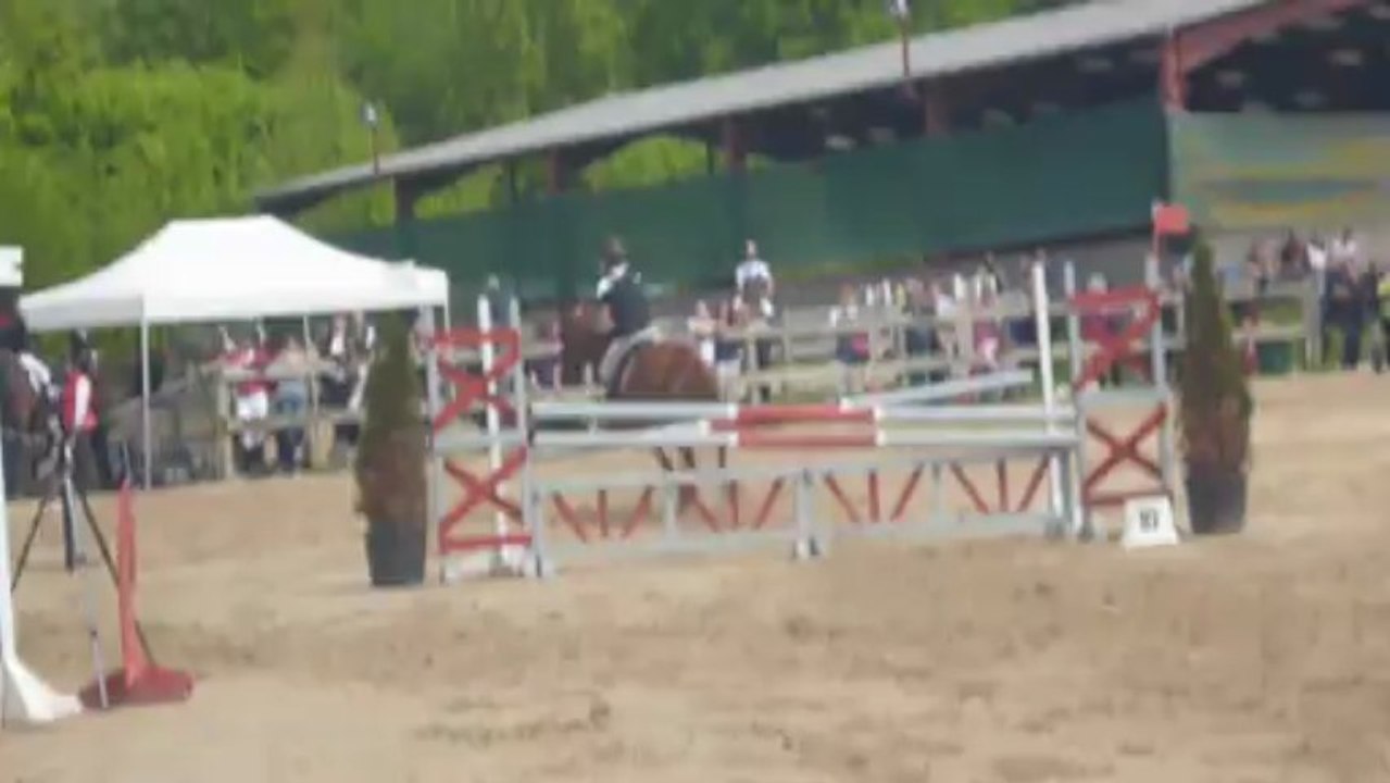 Julie et Titan c1 luxeuil 09.05.2013