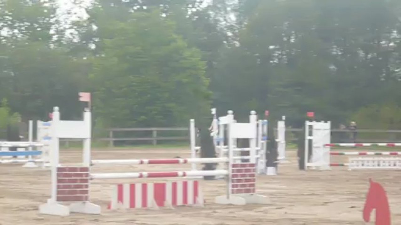 Lilas  c1 luxeuil 09.05.2013