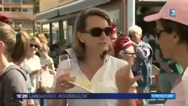 CAP D'AGDE - 2013 - VINOCAP 2013 à l'affiche du Journal de France 3 Languedoc Roussillon