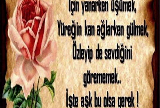 Seslimp_harbikiz sende bir gün anlayacaksin