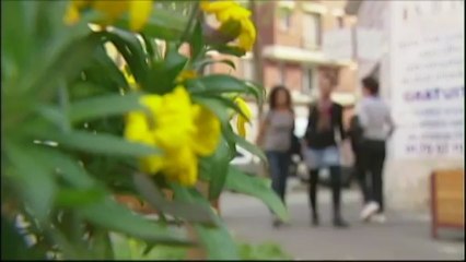 Ces descendants d'esclaves qui continuent le travail de mémoire