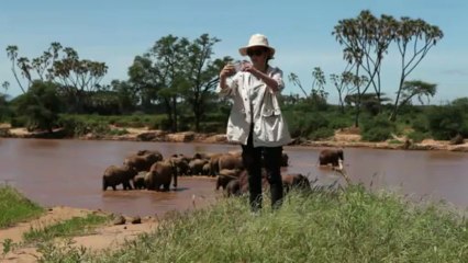 Chinese actress Li Bingbing highlights the illegal ivory trade