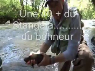 Jake-2013 en Armorique : Balade en Mer à Bénodet et Sur le Stangala