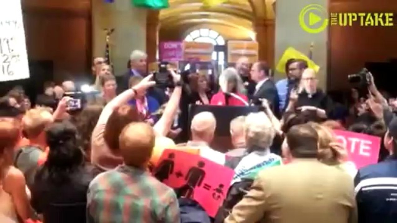 Same-Sex Marriage Author Cheered After Vote