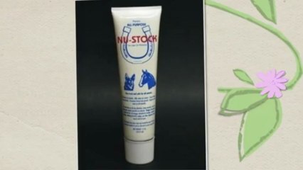 What you need to know and understand about sarcoptic mange