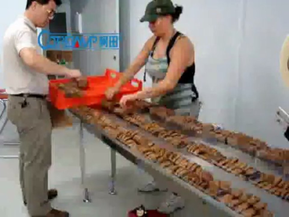 fully automatic horizontal food pillow packing machine