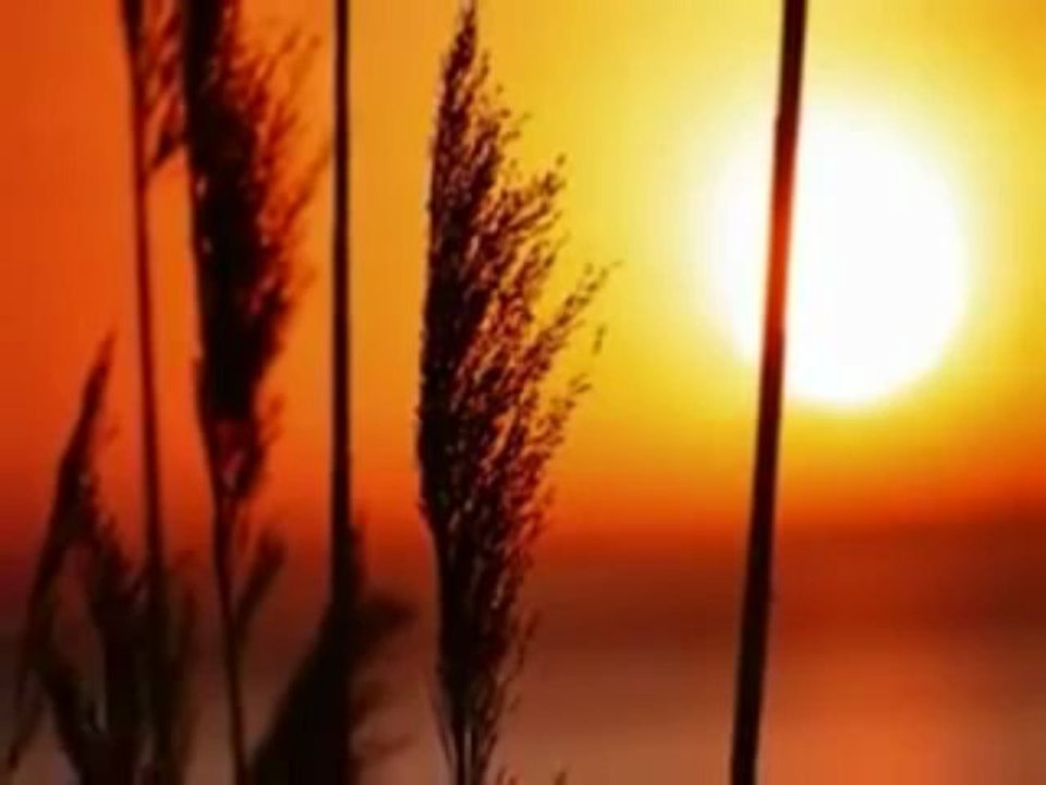 Kıraç    -  Dokunmayın Bana Ağlarım