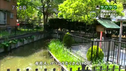 saku2.13.05.10.3　みんなでうたおうZ  レディー馬鹿で綱島のうた