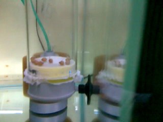 VID-20130510-00021