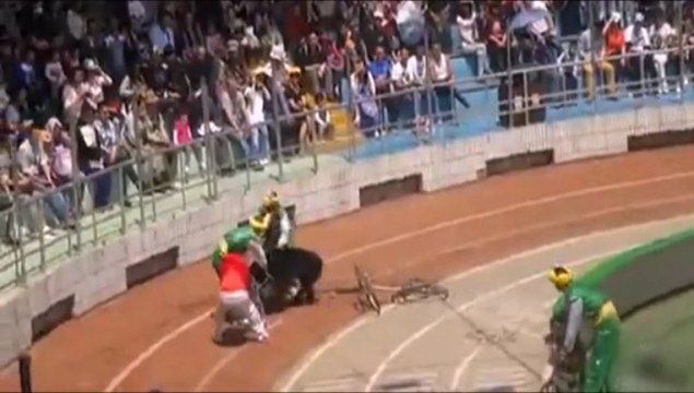 Chine : quand un ours à vélo attaque un singe