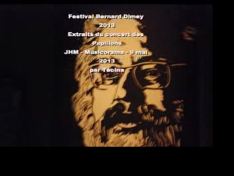 Festival Dimey : extrait du concert des Papillons