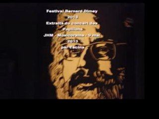 Festival Dimey : extrait du concert des Papillons