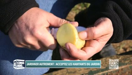 Jardiner autrement : accepter les habitants du jardin