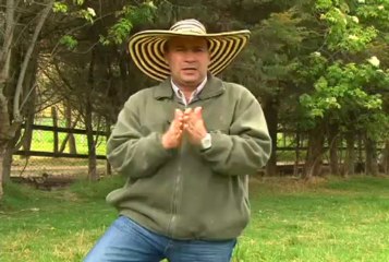 10 de mayo IMPULSEMILLAS Web