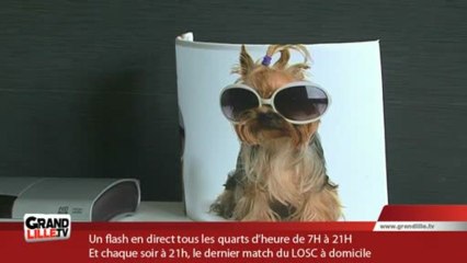 Kyria, le toutou mascotte de la Française des Jeux !