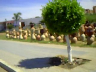 2 JAWLA HORS PERIMETRE URBAIN DE LA VLLE 'AHFIR VERS ROUTE OUJDA GUARBOUZ  LE 10.05.2013