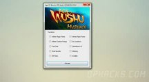 Age of Wushu [ Hack Pirater ] Cheat FREE Download May - June 2013 Update