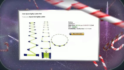 What you need to know and understand about speed and agility ladde