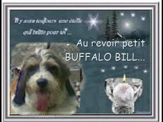 AU REVOIR BUFFALO BILL_1