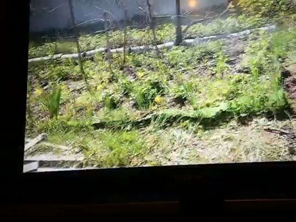 BlackBerry Z10 i TV Testuj Z Orange Adam Rymski