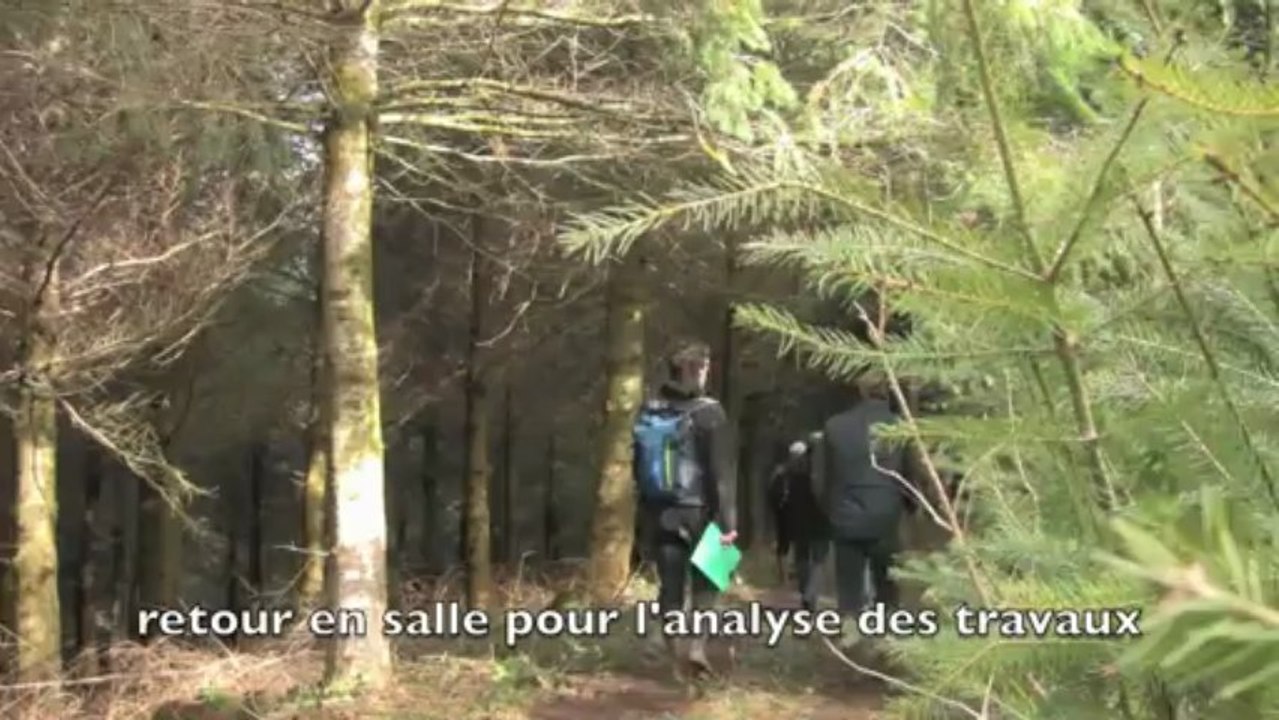 FOGEFOR MARTELAGE 2013 -  720p 1
