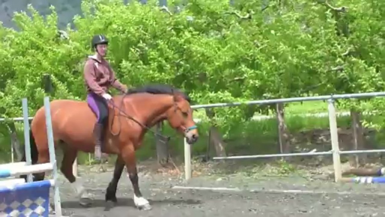 09-05-13 Travail au sol et monte au licol avec Laura